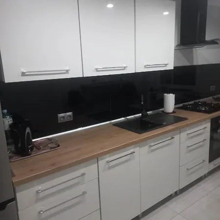 W Centrum Raciborza Appartement Racibórz