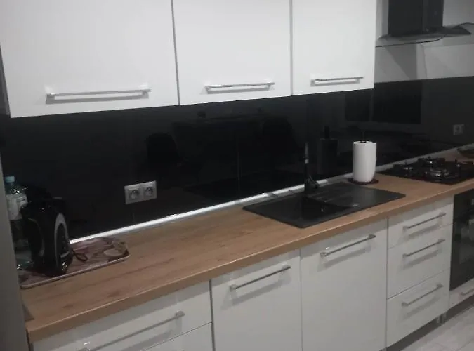 W Centrum Raciborza Apartmán Racibórz